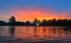 Best Floating Pond Fountains