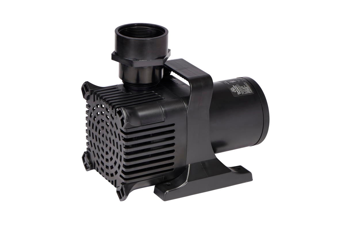 FLF SP100 1 HP Pump