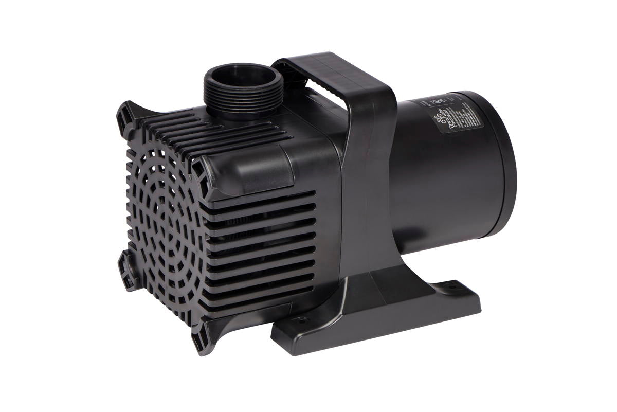 FLF SP100 1 HP Pump