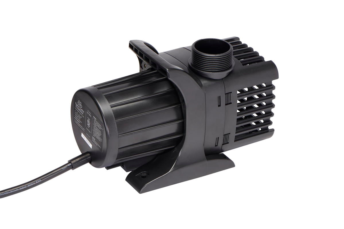 FLF SP25 1/3 HP Pump