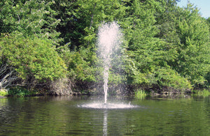 Fawn Lake Fountains