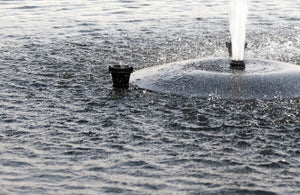 Fawn Lake Fountains