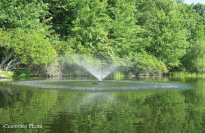 Fawn Lake Fountains