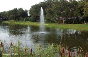 Fawn Lake Fountains